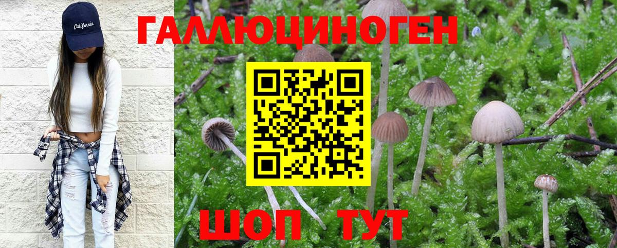 хочу наркоту  Галлюциногенные грибы Psilocybine cubensis  Галлюциногенные грибы Cubensis  Вход с VPN  Лесосибирск 